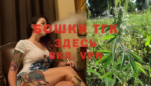 твердый Кулебаки