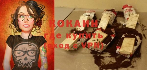индика Краснотурьинск