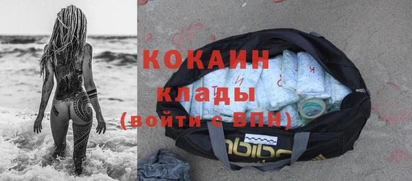 твердый Кулебаки