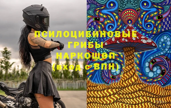 индика Краснотурьинск