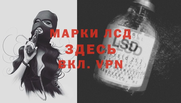МДПВ Кукмор