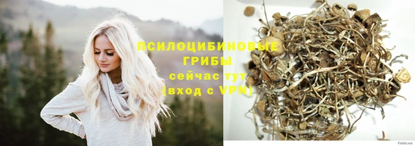 хмурый Краснослободск